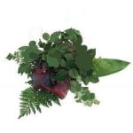 Przybranie do róż i tulipanów