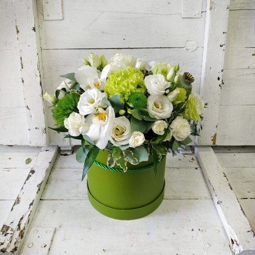 image_6483441 (3).JPG