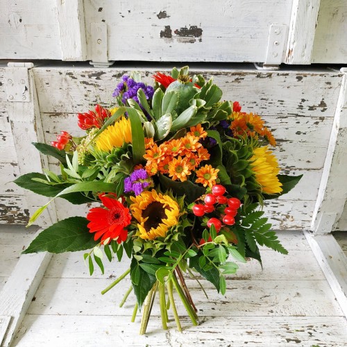 image_6483441 (6).JPG