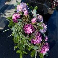 IMG_8868.jpg