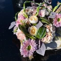 IMG_9041.jpg