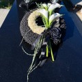 IMG_8940.jpg