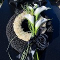 IMG_8947.jpg