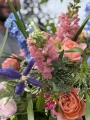IMG_8387.jpeg